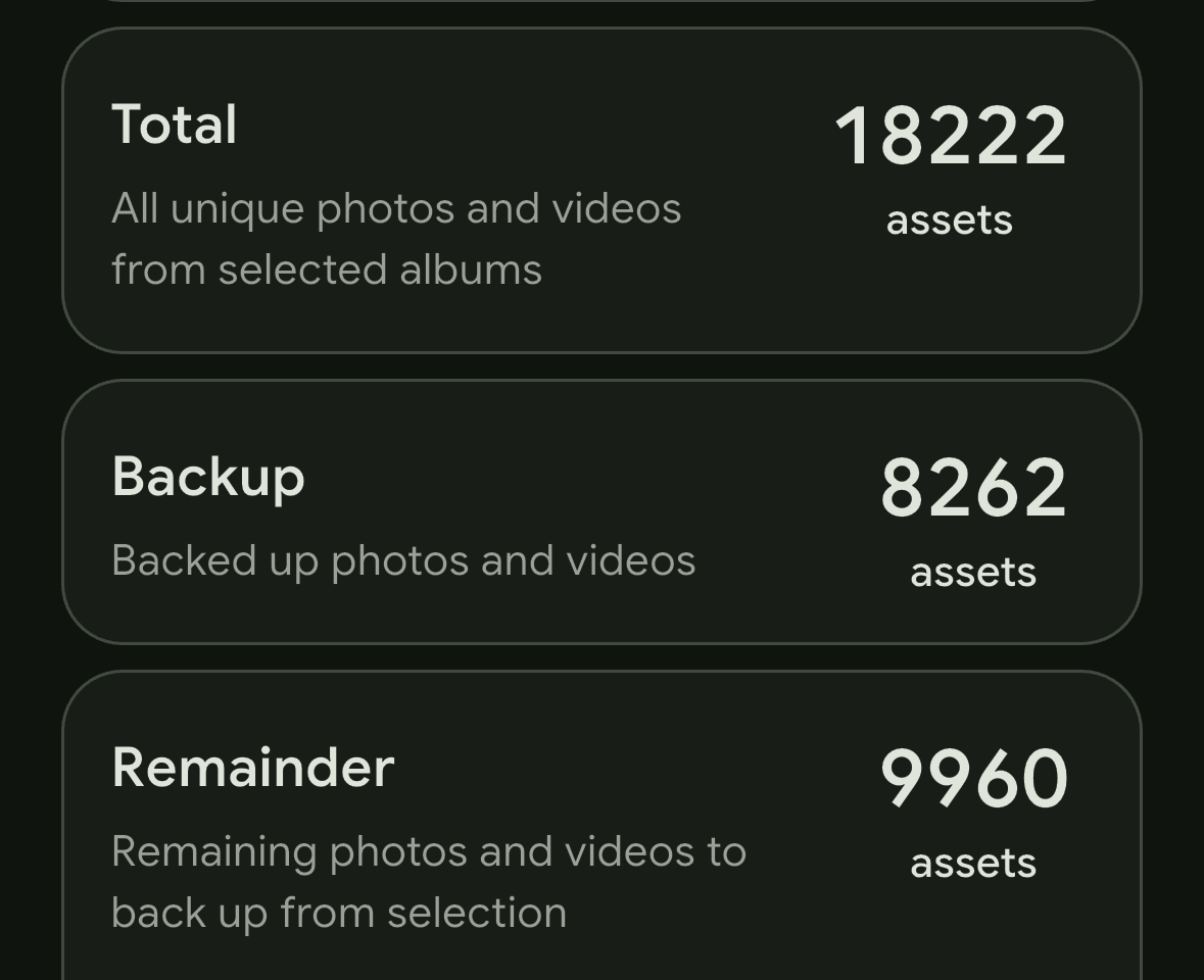 Immich Photo Backup